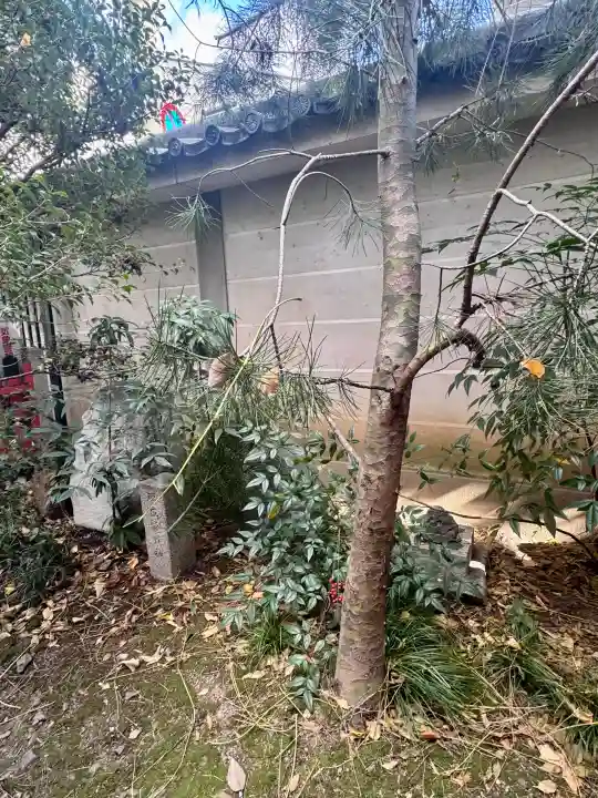 白峯神宮の{uncategorized: "未分類", other: "その他", undefined: "問題あり", building: "その他建物", grave: "お墓", sacred_gate: "鳥居", guardian: "狛犬", statue: "像", buddha: "仏像", history: "歴史", nature: "自然", garden: "庭園", animal: "動物", pagoda: "塔", temizu: "手水舎", mountain_gate: "山門・神門", sanctuary: "本殿・本堂", subordinate: "末社・摂社", art: "芸術", scenery: "景色", jizo: "地蔵", ema: "絵馬", goshuin: "御朱印", omikuji: "おみくじ", items: "授与品その他", amulet: "お守り", goshuincho: "御朱印帳", eats: "食事", festival: "お祭り", votive_dance: "神楽", shichigosan: "七五三参", wedding: "結婚式", experience: "体験その他", initially: "初詣", around: "周辺", anti_infection: "感染症対策"}