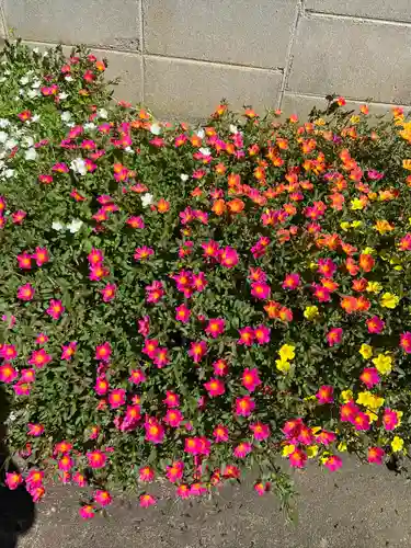 出雲大社 倉吉分院の自然