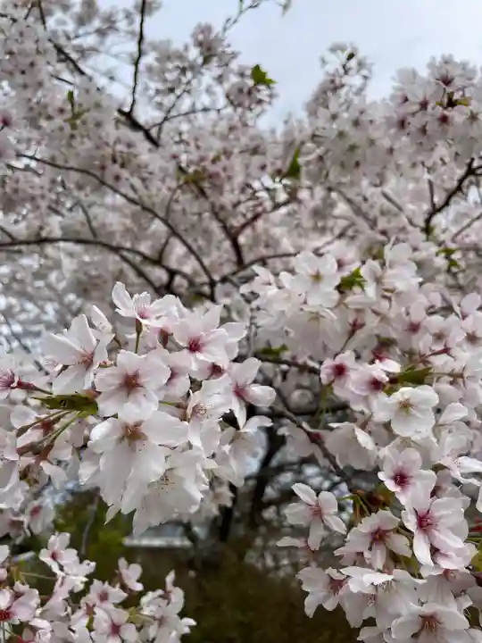 了仙寺(静岡県)
