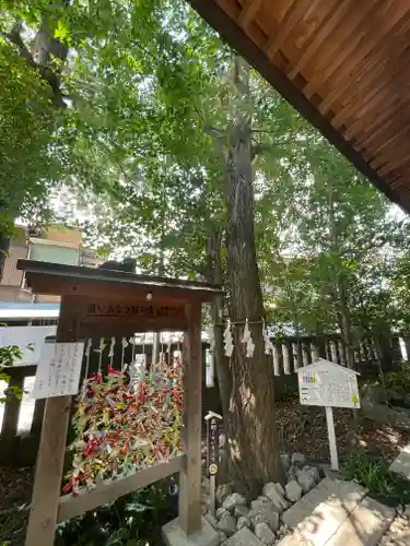 行田八幡神社のおみくじ