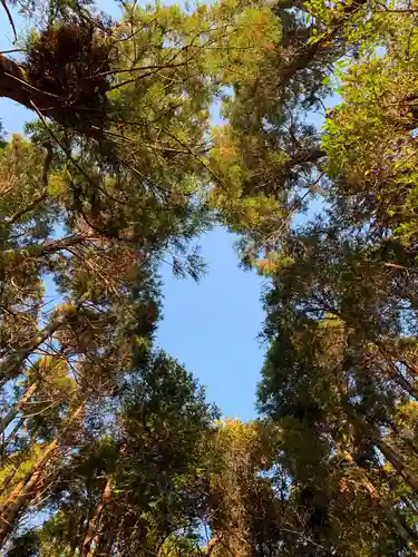 羽生神社の自然