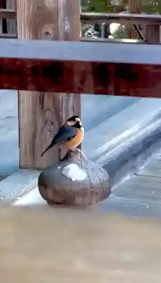 蚊里田八幡宮の{uncategorized: "未分類", other: "その他", undefined: "問題あり", building: "その他建物", grave: "お墓", sacred_gate: "鳥居", guardian: "狛犬", statue: "像", buddha: "仏像", history: "歴史", nature: "自然", garden: "庭園", animal: "動物", pagoda: "塔", temizu: "手水舎", mountain_gate: "山門・神門", sanctuary: "本殿・本堂", subordinate: "末社・摂社", art: "芸術", scenery: "景色", jizo: "地蔵", ema: "絵馬", goshuin: "御朱印", omikuji: "おみくじ", items: "授与品その他", amulet: "お守り", goshuincho: "御朱印帳", eats: "食事", festival: "お祭り", votive_dance: "神楽", shichigosan: "七五三参", wedding: "結婚式", experience: "体験その他", initially: "初詣", around: "周辺", anti_infection: "感染症対策"}