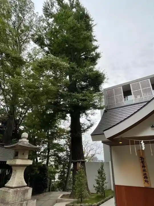 駒繋神社の自然