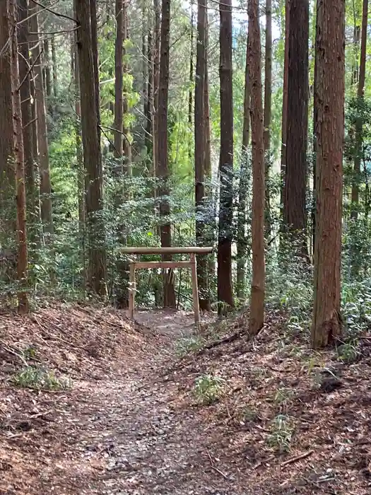 幣立神宮の鳥居