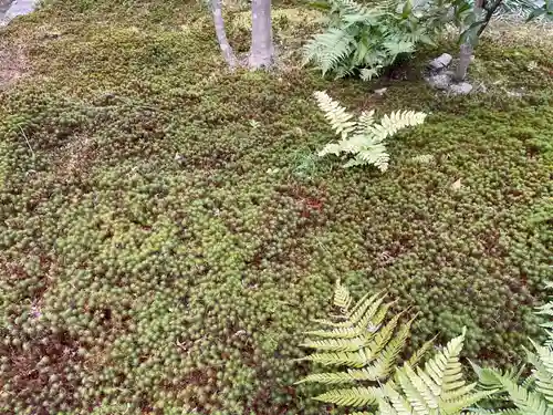 宝筐院(京都府)