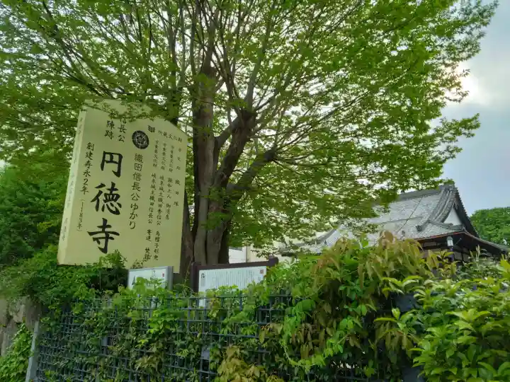 円徳寺の{uncategorized: "未分類", other: "その他", undefined: "問題あり", building: "その他建物", grave: "お墓", sacred_gate: "鳥居", guardian: "狛犬", statue: "像", buddha: "仏像", history: "歴史", nature: "自然", garden: "庭園", animal: "動物", pagoda: "塔", temizu: "手水舎", mountain_gate: "山門・神門", sanctuary: "本殿・本堂", subordinate: "末社・摂社", art: "芸術", scenery: "景色", jizo: "地蔵", ema: "絵馬", goshuin: "御朱印", omikuji: "おみくじ", items: "授与品その他", amulet: "お守り", goshuincho: "御朱印帳", eats: "食事", festival: "お祭り", votive_dance: "神楽", shichigosan: "七五三参", wedding: "結婚式", experience: "体験その他", initially: "初詣", around: "周辺", anti_infection: "感染症対策"}