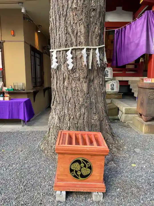 日本橋日枝神社(東京都)