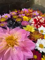 大鏑神社の手水舎