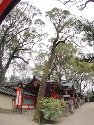 杭全神社の本殿・本堂