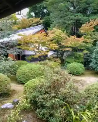 隨心院（随心院）(京都府)
