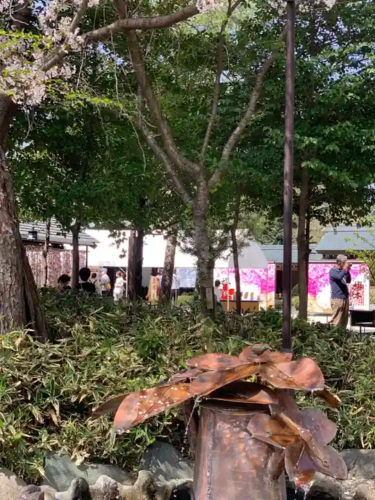 櫻木神社の手水舎