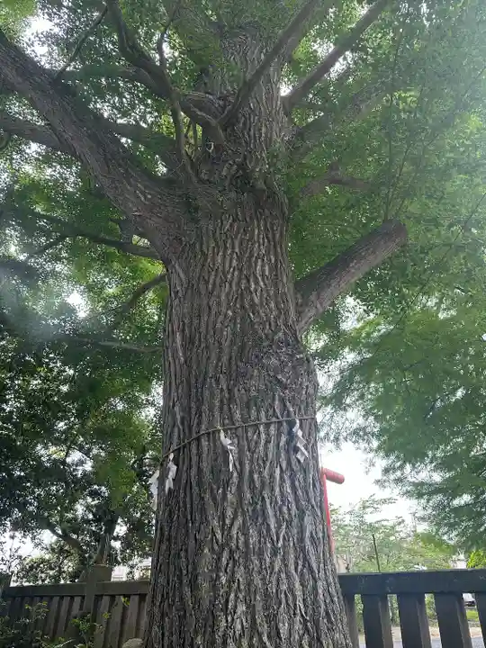金刀比羅神社(千葉県)