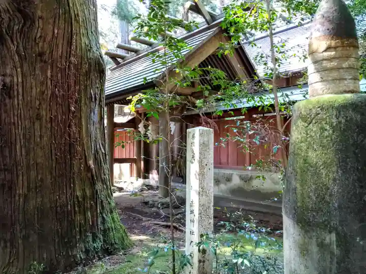赤城神社(三夜沢町)(群馬県)