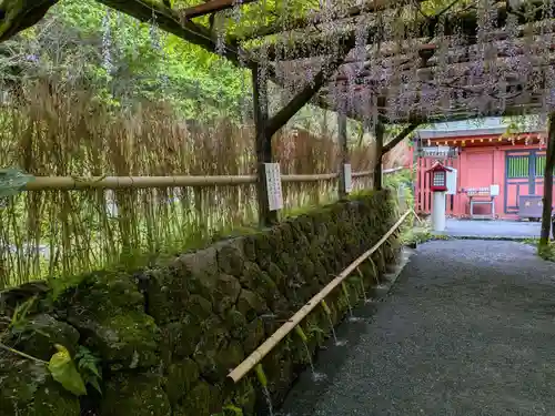富士山本宮浅間大社(静岡県)