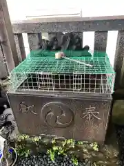 車町稲荷神社の手水