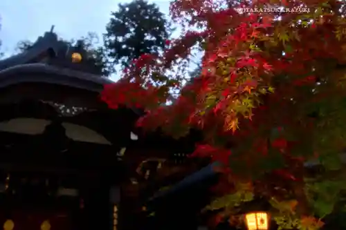 高幡不動尊　金剛寺(東京都)