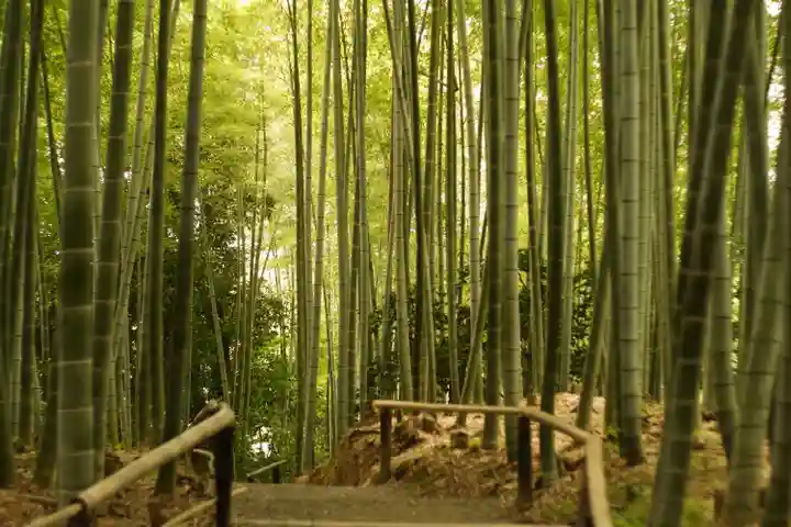 高台寺(高台寿聖禅寺・高臺寺)(京都府)