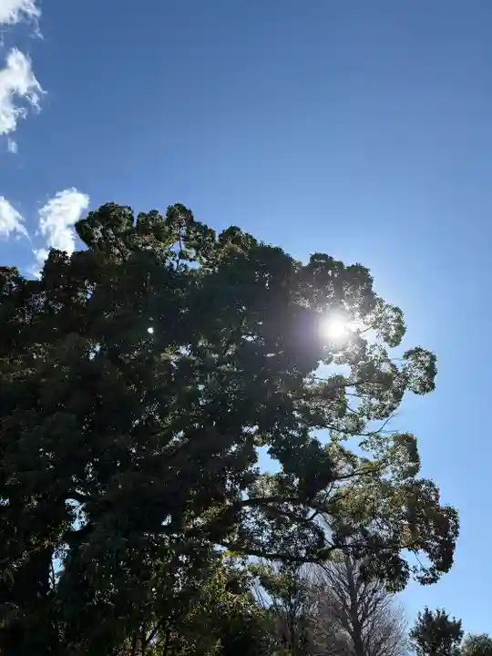 上野東照宮(東京都)