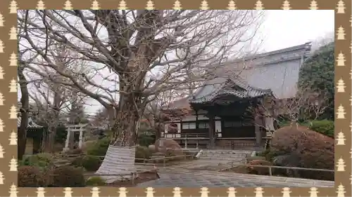高円寺(東京都)