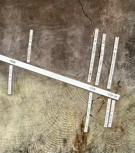 須山浅間神社(静岡県)