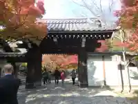 龍安寺(京都府)