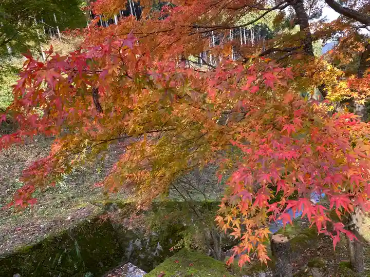 文保寺(兵庫県)