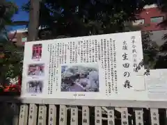 生田神社(兵庫県)