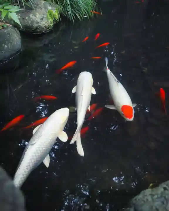 山名八幡宮(群馬県)