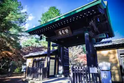 豪徳寺(東京都)