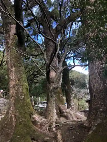 蛭児神社の自然