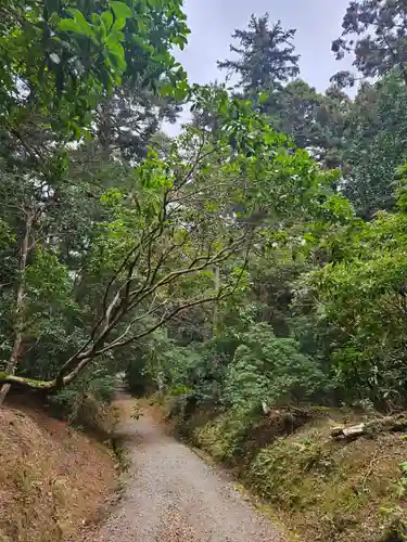 春日大社(奈良県)