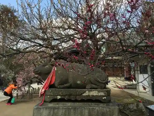 北野天満宮の狛犬