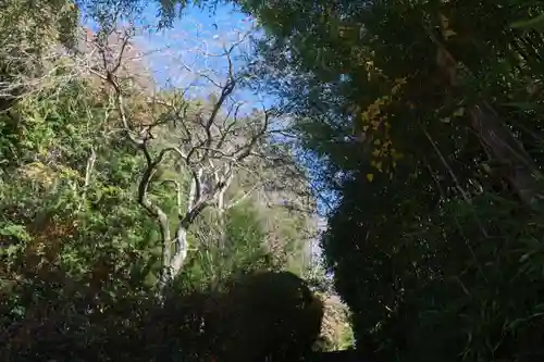 大六天麻王神社の景色