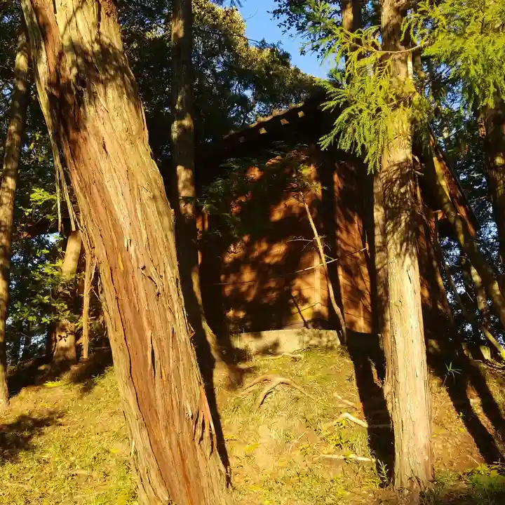熊野神社のその他建物