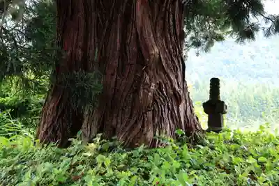 御礼神社のその他建物