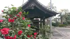 観音寺の自然