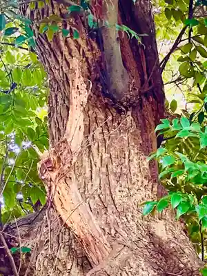鷲宮神社(茨城県)