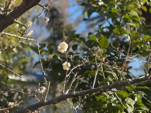 伊勢の国 四天王寺の自然