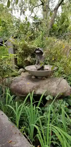 常泉寺の狛犬