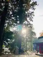 高瀧神社(千葉県)