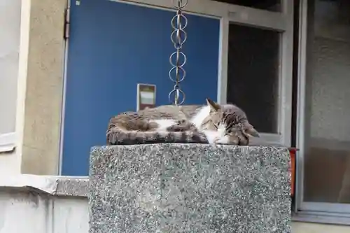 医王寺(広島県)