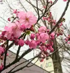 阿邪訶根神社の自然