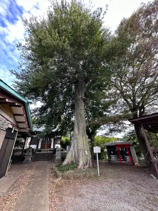 白山神社(東京都)