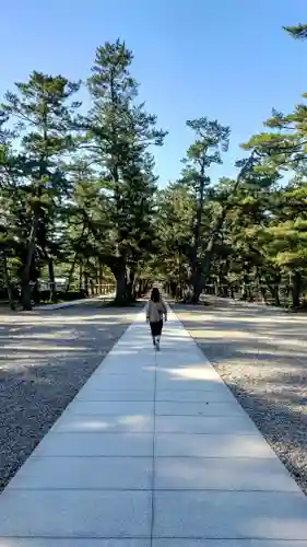 出雲大社(島根県)