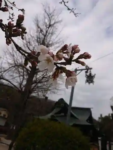 賀羅加波神社の自然