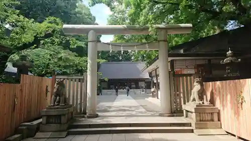 乃木神社の鳥居