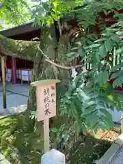 笠間稲荷神社の自然