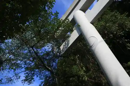 青葉神社の鳥居