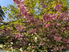 子鍬倉神社の自然