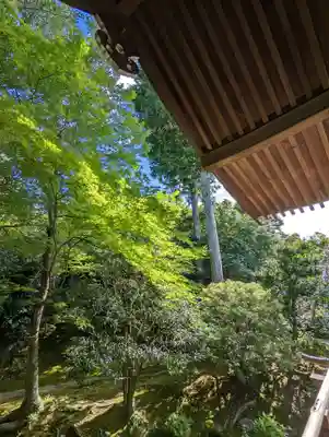 法金剛院(京都府)